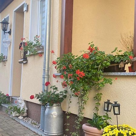 Ferienwohnung „Thea“ Bad Lausick Zewnętrze zdjęcie