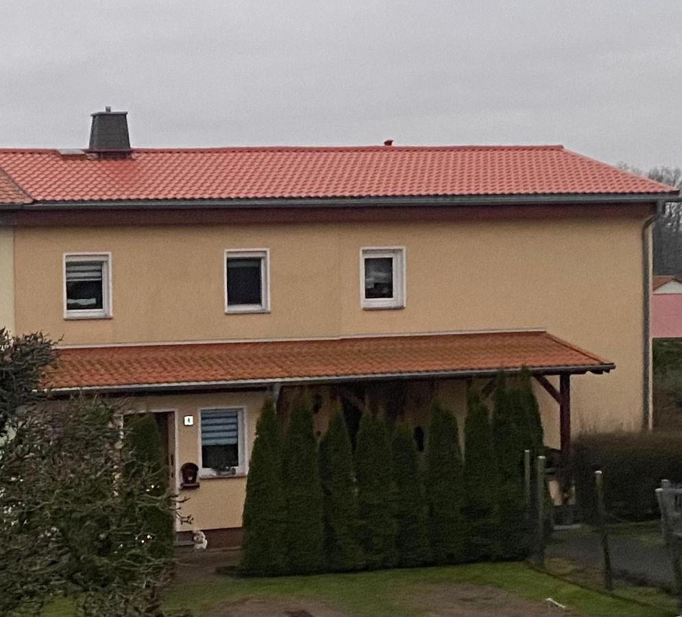 Ferienwohnung „Thea“ Bad Lausick Zewnętrze zdjęcie