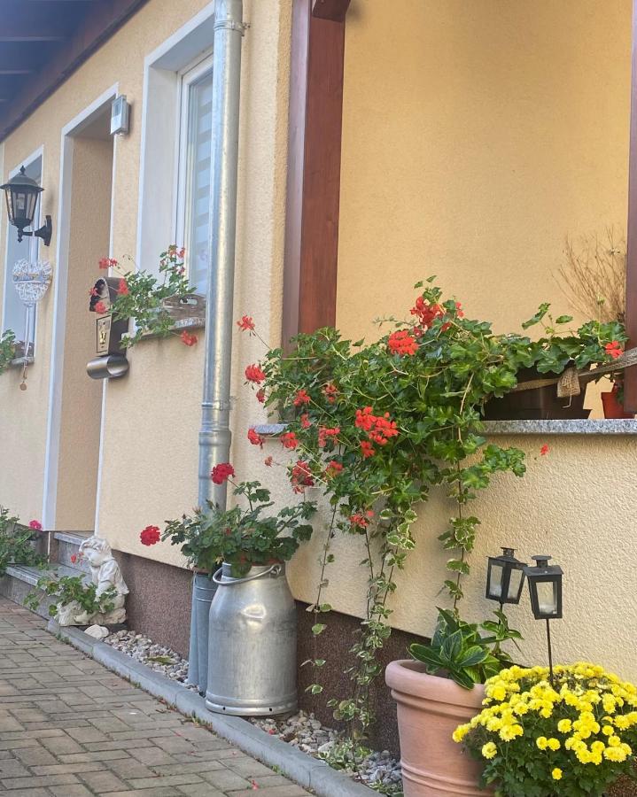 Ferienwohnung „Thea“ Bad Lausick Zewnętrze zdjęcie
